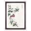 Japanese Long-Tailed Rosefinch by Numata Kashu - Framed Print-55770483-55770485