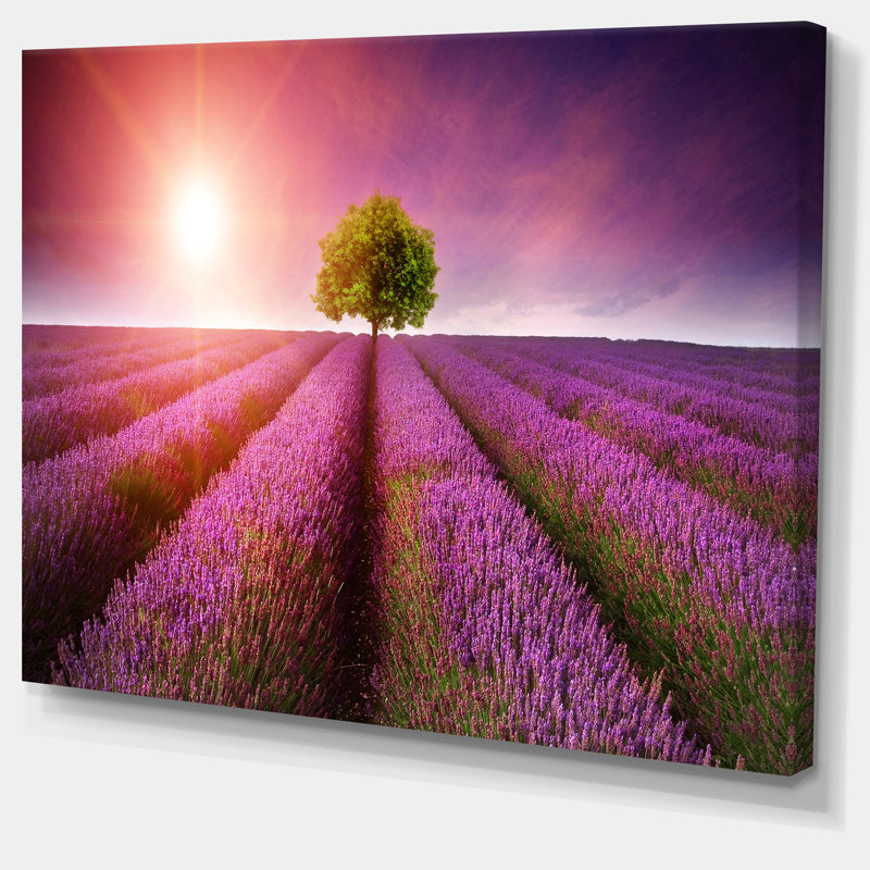 «Purple Sky Over Stunning Lavender Field», reproduction de photo sur toile tendue, H 8 po x l 12 po
