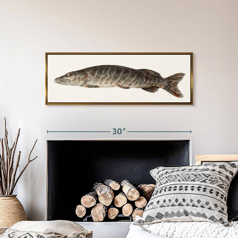 Brochet, 31 po x 11 po, Floating Frame Gold