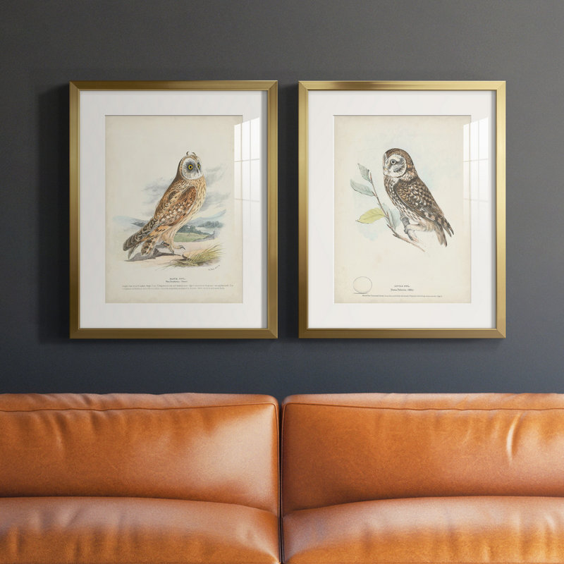 Hawk Owl Hawk Owl - Natural History Print, Matted and Framed Under Acrylic Glass, Set of 2, Large Living Room Wall Art