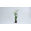 Cactus artificiel à 3 branches 4,5 pi avec fruits roses en pot tissé brun, plantes de cactus artificielles pour plantes grasses