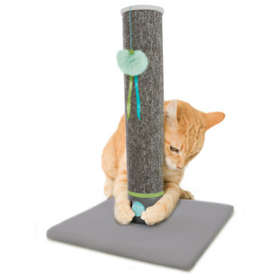 Scratching Post
