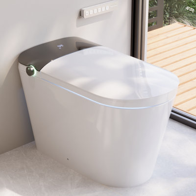 DeerValley Modern Smart Bidet Toilet: All-Season Temp Control, Foam Shield, Built-in Tank & Pump and 17.5" ADA Height in White