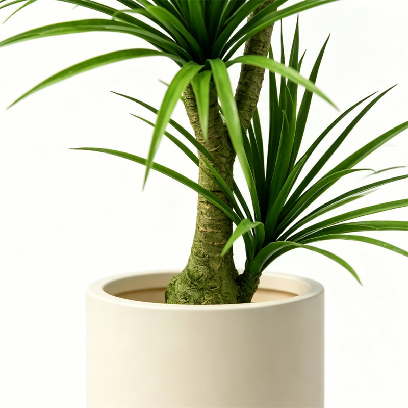 Plantes artificielles réalistes pour la décoration intérieure