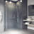 Pirouette 60-66" W x 72" H Pivot Frameless Shower Door with 3/8" Clear Glass