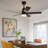 48'' Ceiling Fan with LED Lights