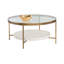 Glass Coffee Table