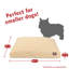 Coussin orthopédique tours-35291579-35291574