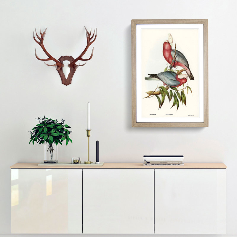 Rose-Breasted Cockatoos by Elizabeth Gould - Picture Frame Graphic Art Print, Oak, 76cm H x 50cm W x 2cm D