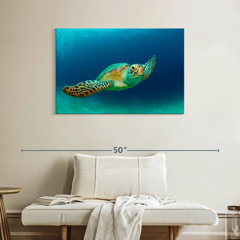 Tortue de mer verte des Philippines, H 26 po x l 39 po