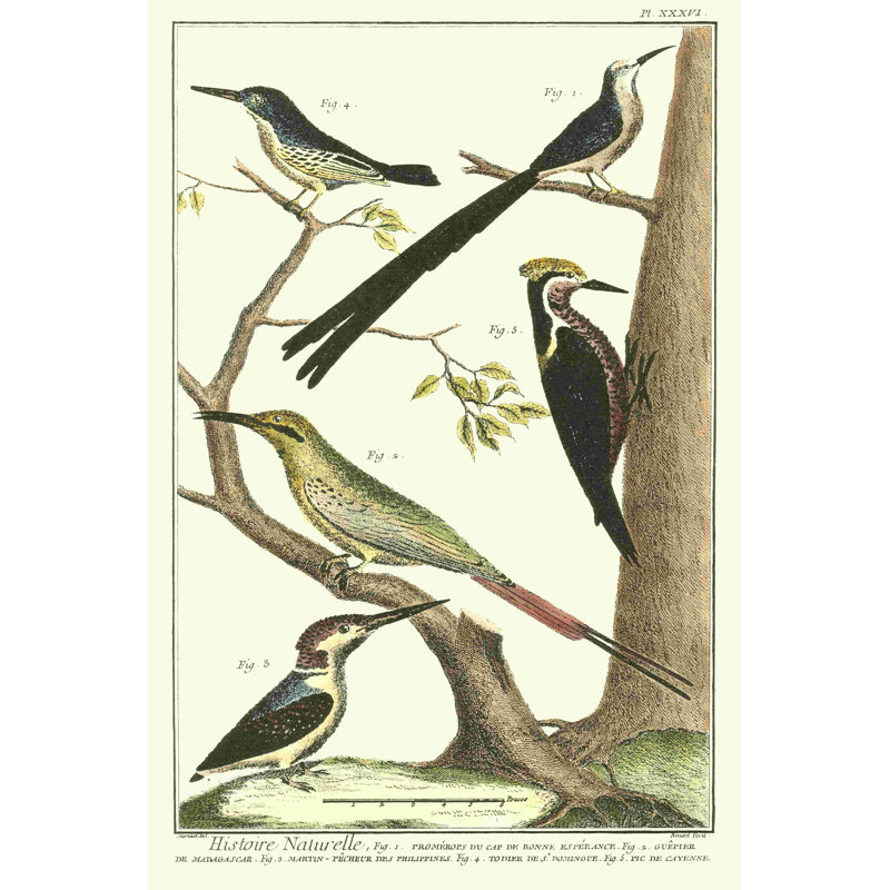 Martinet, famille d'oiseaux III, H 18 po x l 12 po