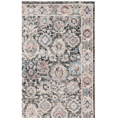 Ronard Performance Oriental Rug