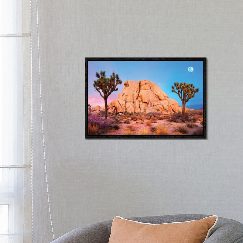 Joshua Tree National Park II by Susanne Kremer - Floater Frame Gallery-Wrapped Canvas Giclée on Canvas, Black