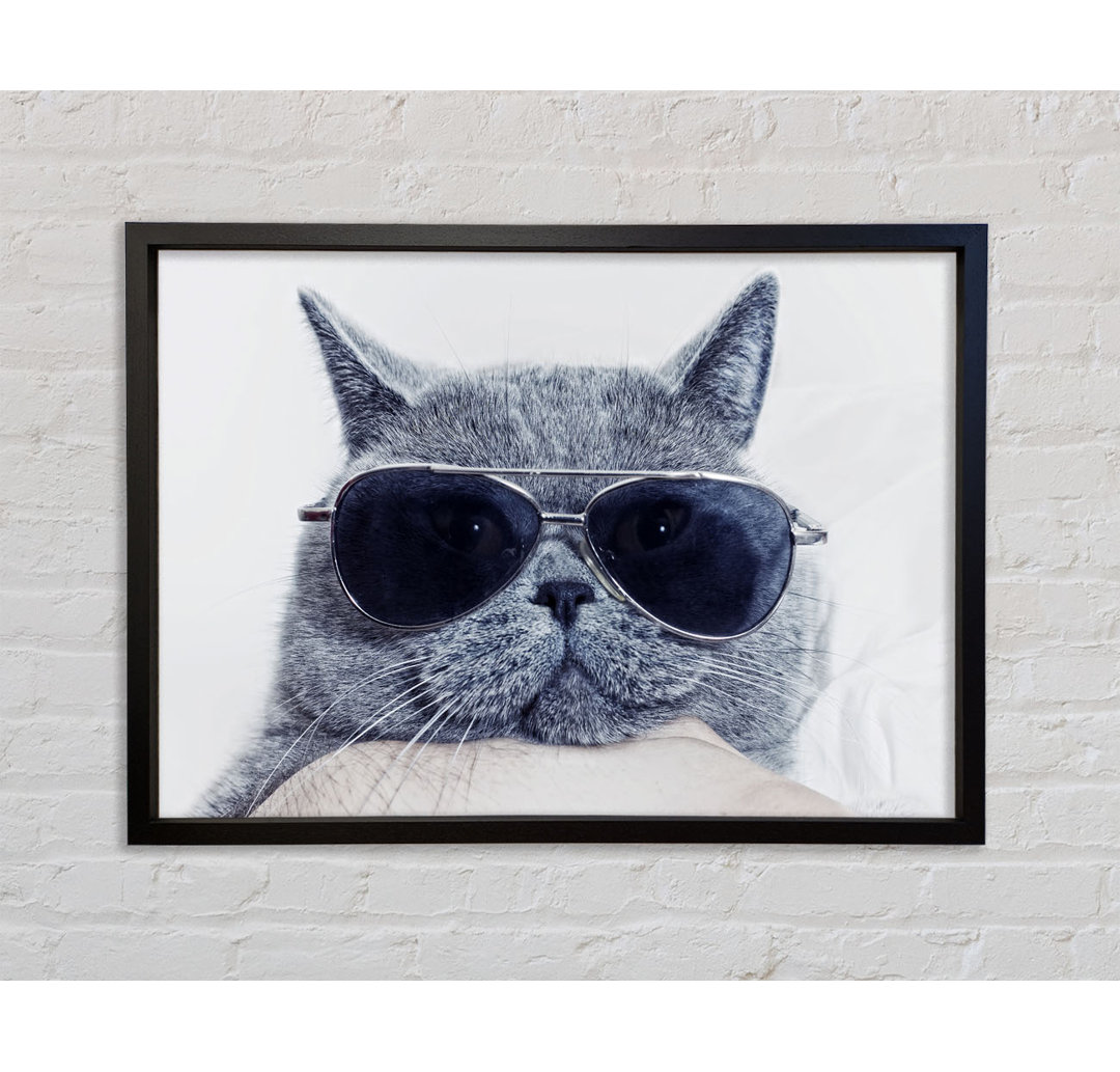 Kitty Cat Cool - Einzelner Bilderrahmen Kunstdrucke auf Leinwand