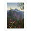 «Hummingbirds» par Fazulla, impression sur toile tendue-27485943