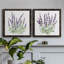 Lavande botanique I - ensemble de 2 peintures sur toile encadrées-2026641883-2026641856