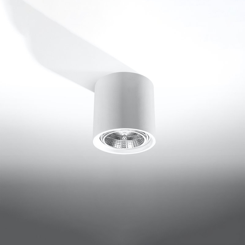 Ceramic Flush Mounted Sconce
