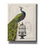 «Peacock Birdcage I» par Sue Schlabach, estampe numérique sur toile-262538160
