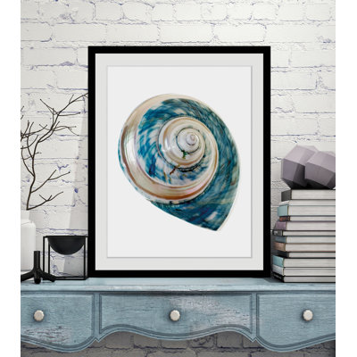 Shell - Single Picture Frame Print