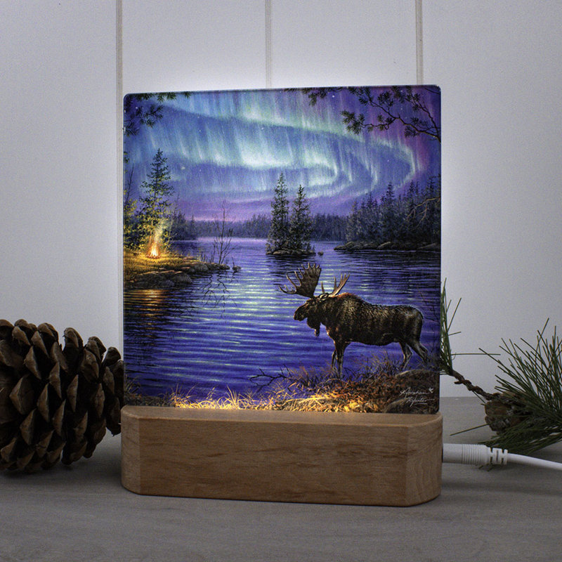 Veilleuse Northern Night