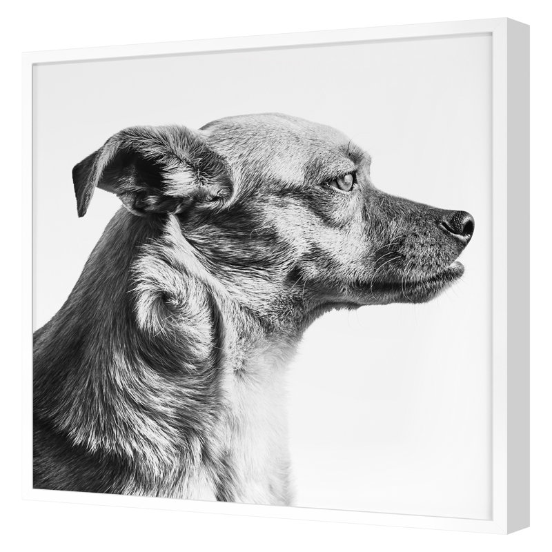 «Furry Friend 1» par Pearson, Victoria, H 30 po x l 30 po, Blanc