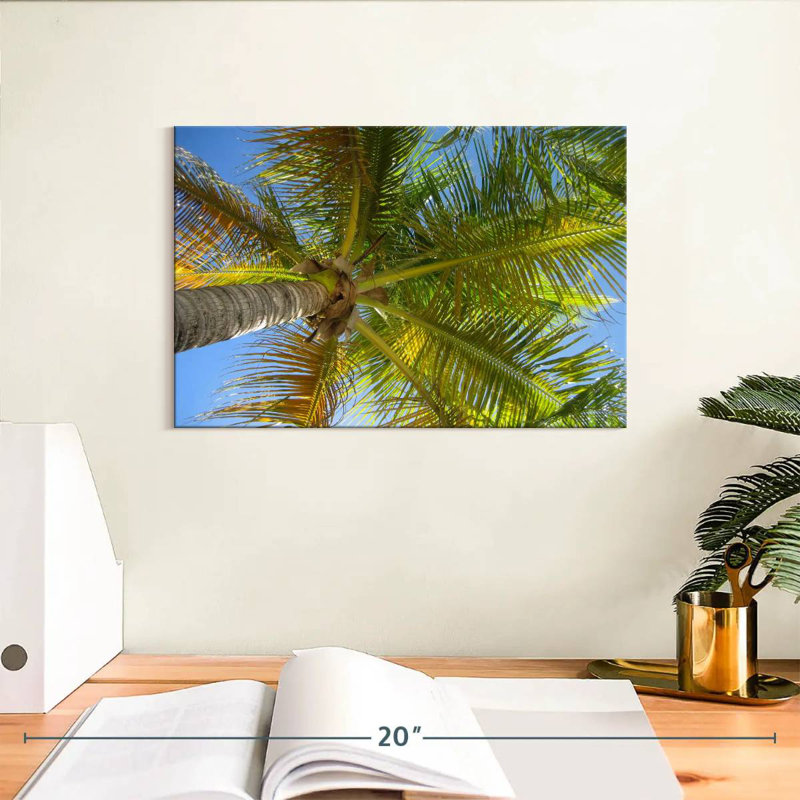 Harnek Saint Barths Palm Tree, 8" H x 12" W