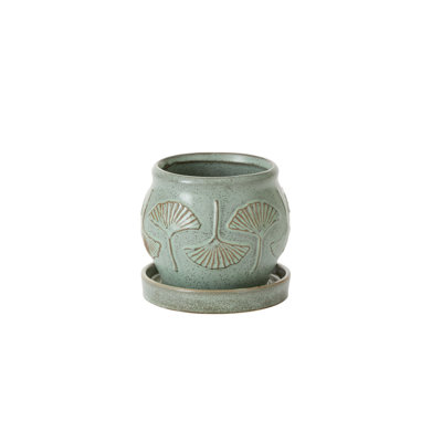 Biloba Pot with Saucer 5.75"x 6"x 5.75"