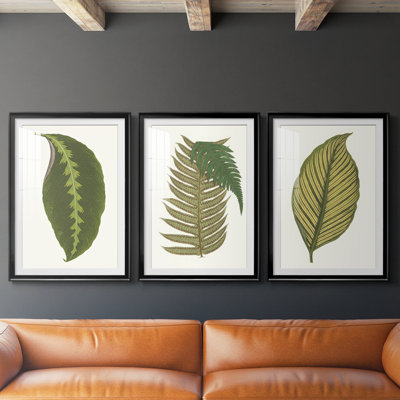 3 feuilles