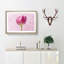 Perfectly Pink Tulip Flower - Single Picture Frame Print on MDF-56704483-56704487