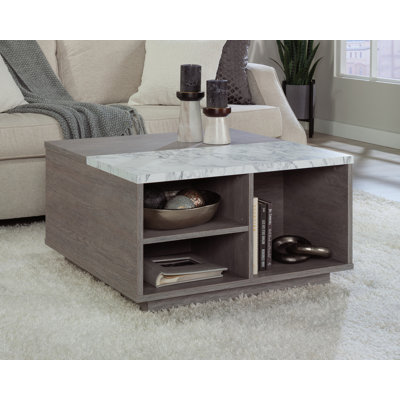 Freidin East Rock Lift Top Coffee Table by Ebern Designs
