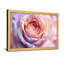 Plantes et fleurs pétales de rose pastel gros plan-862409025-862409026-862409029