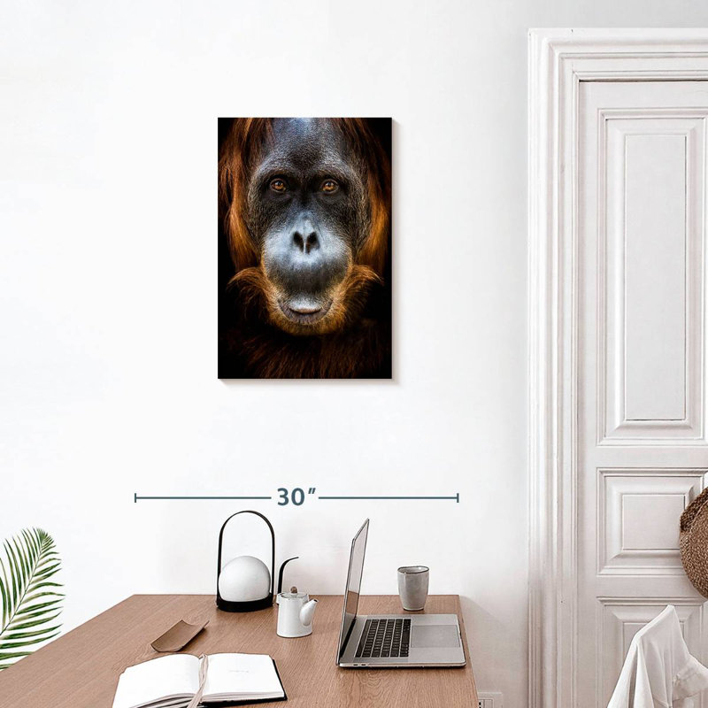 Visage d'orang-outan Brampt, H 24 po x l 16 po