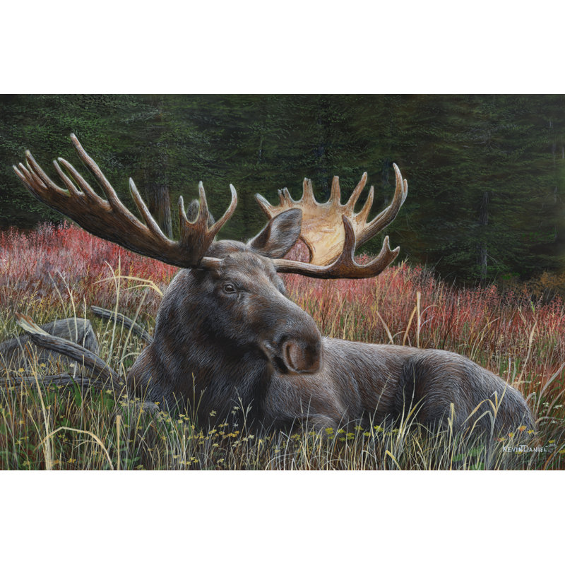 Recumbent Moose by Leo Stans - Wrapped Canvas Painting, 20cm H x 30cm W x 3.8cm D