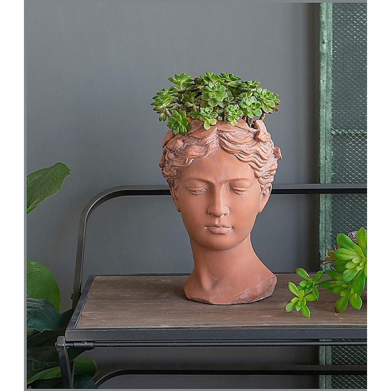 D7x11" Visage Head Bust Planter, Brown, 10.6" H x 7.3" W x 6.9" D
