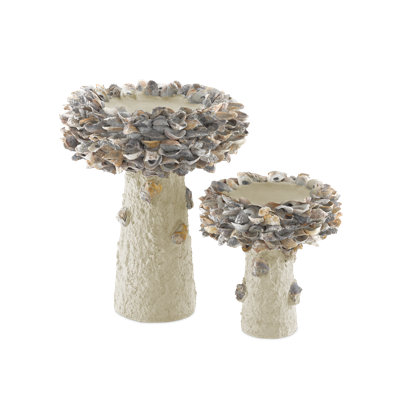 Oyster Shell Birdbath