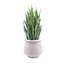 Ceramic Pot Planter