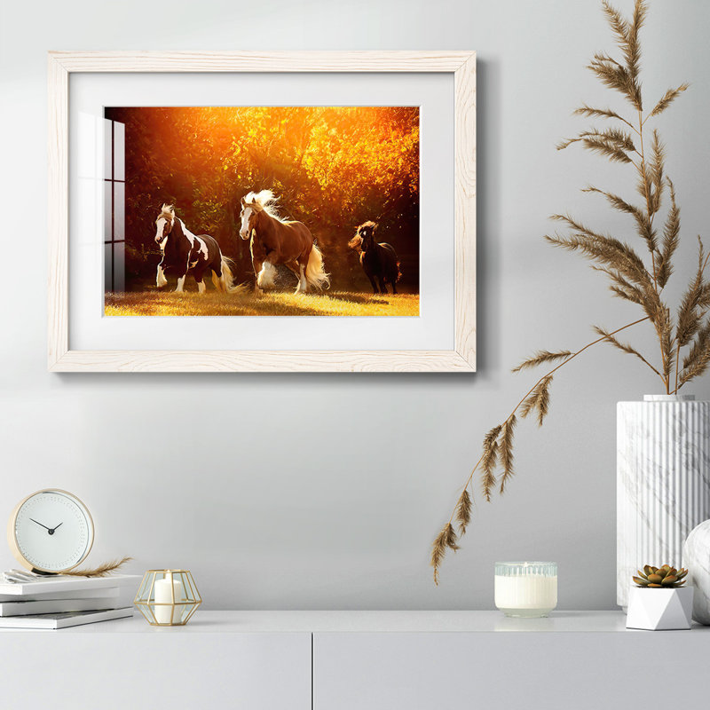 Horse Motion V - Peinture à cadre unique, Blanc, H 22 po x l 32 po x P 1,5 po
