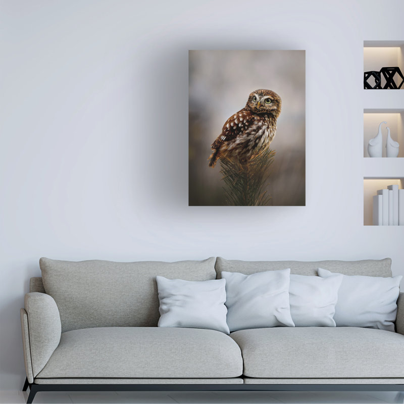 Art sur toile Michaela Firesova