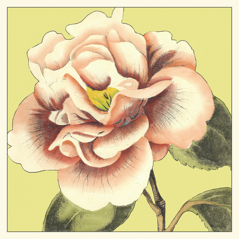Flower Power III by D. Bookman - Wrapped Canvas Painting, 51cm H x 51cm W