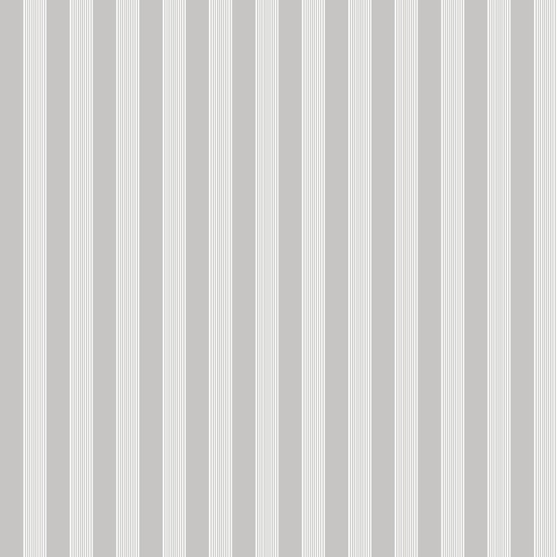 Nerijus Little Explorers 2 Vertical Ribbon Wallpaper Roll, Grey