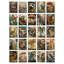 Auddis 50 Piece No Frame Print