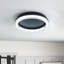 1 - Plafonnier à DEL à intensité variable noir et blanc