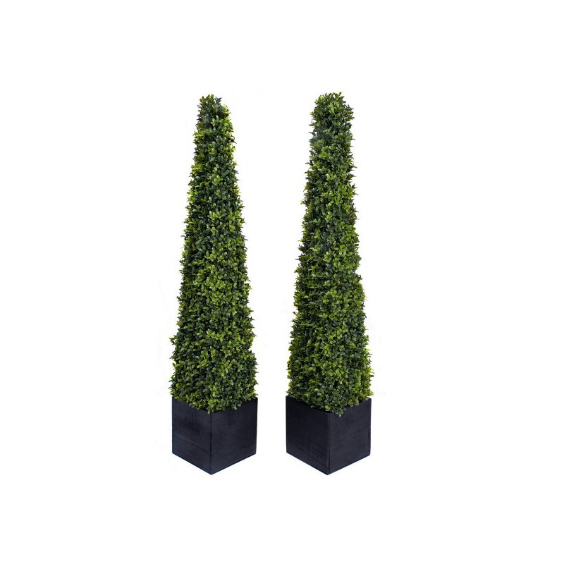 125cm Plant