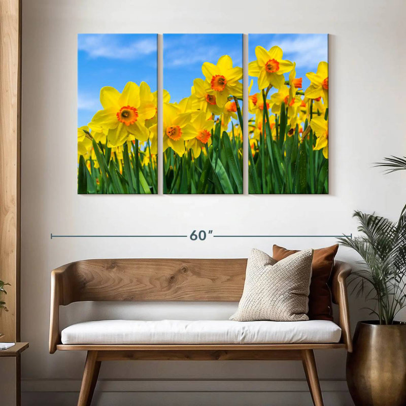 Dutch Master Daffodils, 32" H x 50" W
