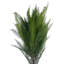Andwele Arrangement
