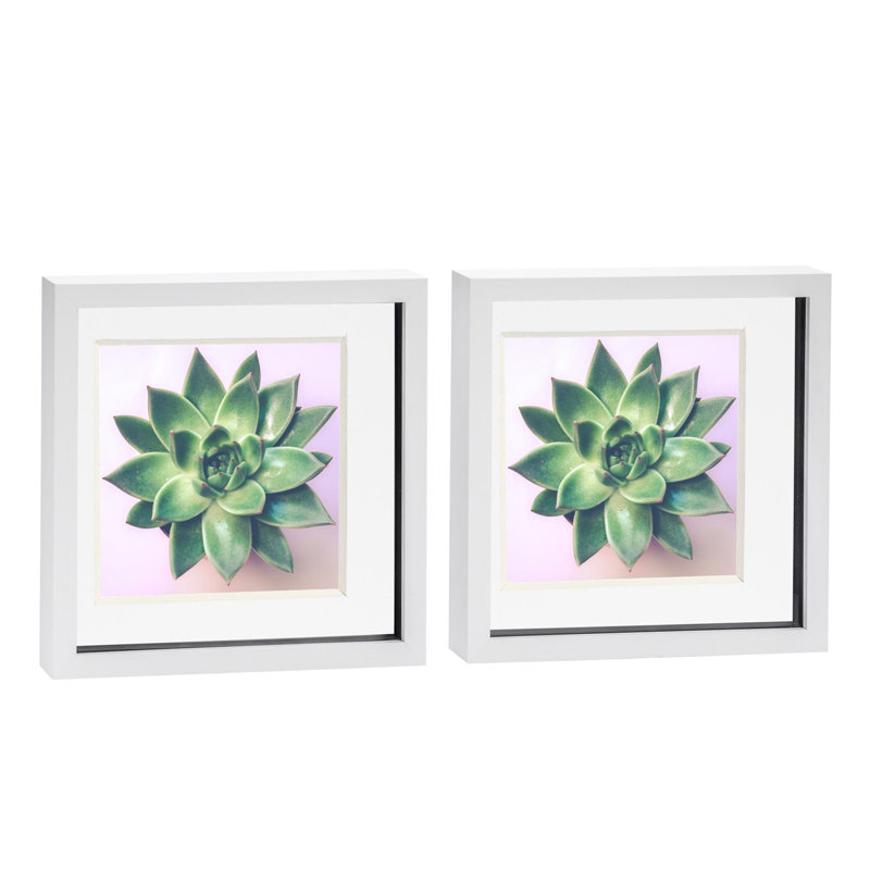 Bevelled Shadow Box Picture Frame with Mat, White/White