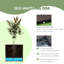 Planter