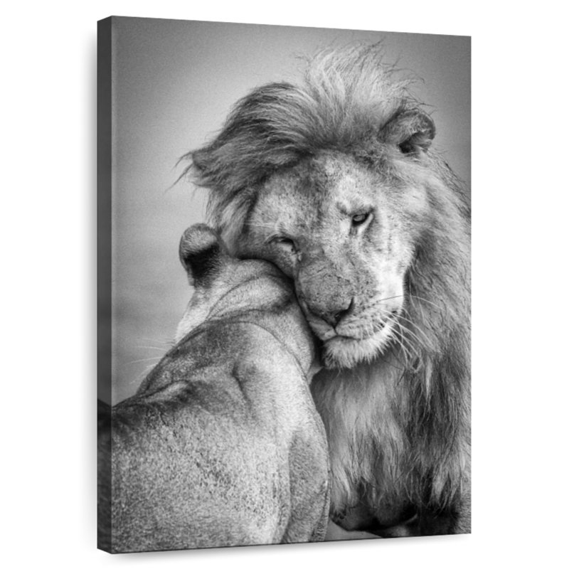 Hardie, amour africain, H 45 po x l 30 po