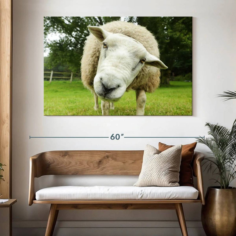 Nosy Sheep, H 34 po x l 51 po