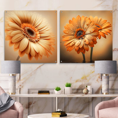 Orange Gerbera Flower IV - Gerbera Acrylic Wall Art Glass Set Of 2